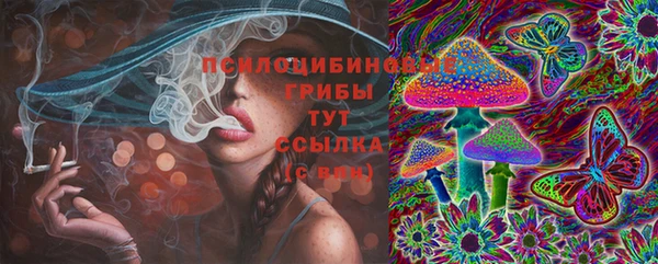 первитин Богородск
