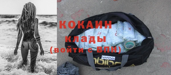 бошки Богородицк