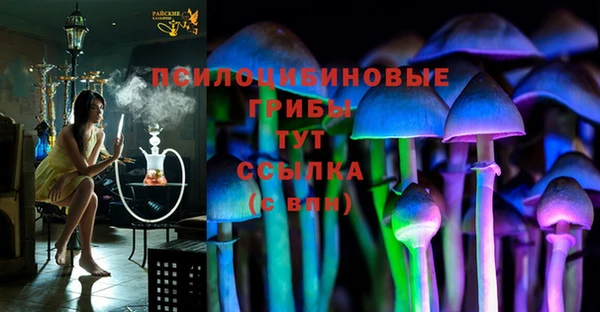 первитин Богородск