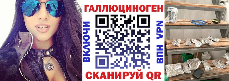 Псилоцибиновые грибы прущие грибы Светогорск